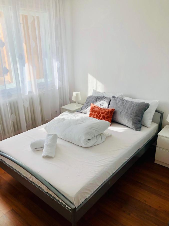 Joy Ionel Perlea 19 Apartment *