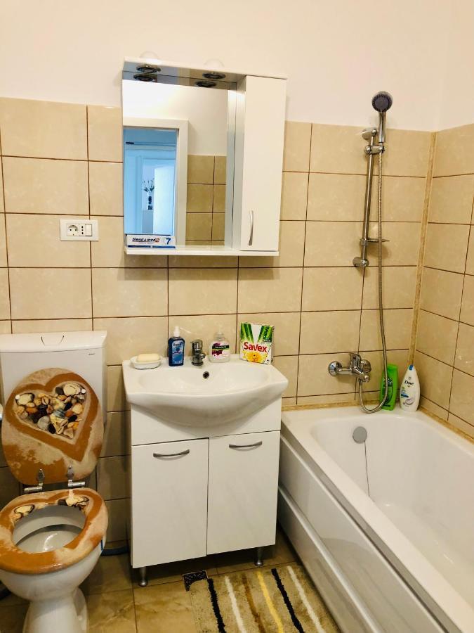 Apartment Joy Ionel Perlea 19