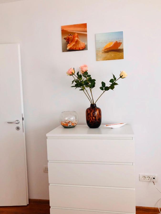 Joy Ionel Perlea 19 Apartment *