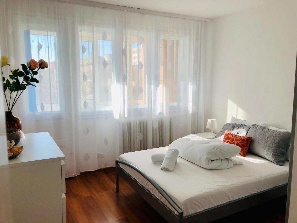 Joy Ionel Perlea 19 Apartment *